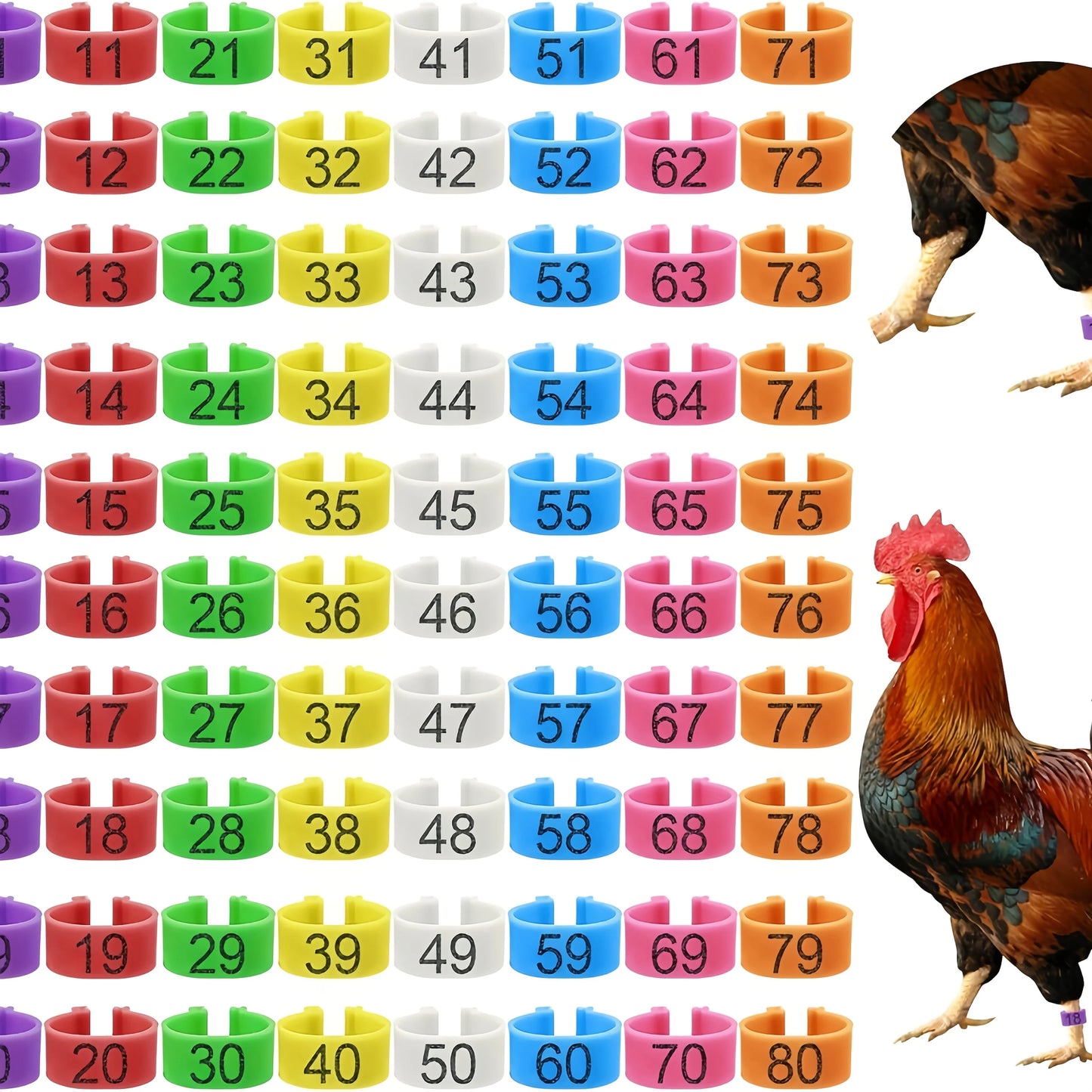 Farm Tag Rings – Numbered Poultry Leg Bands for Chickens, Ducks & Geese