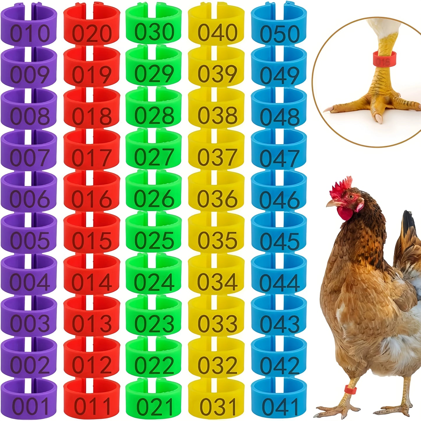 Farm Tag Rings – Numbered Poultry Leg Bands for Chickens, Ducks & Geese