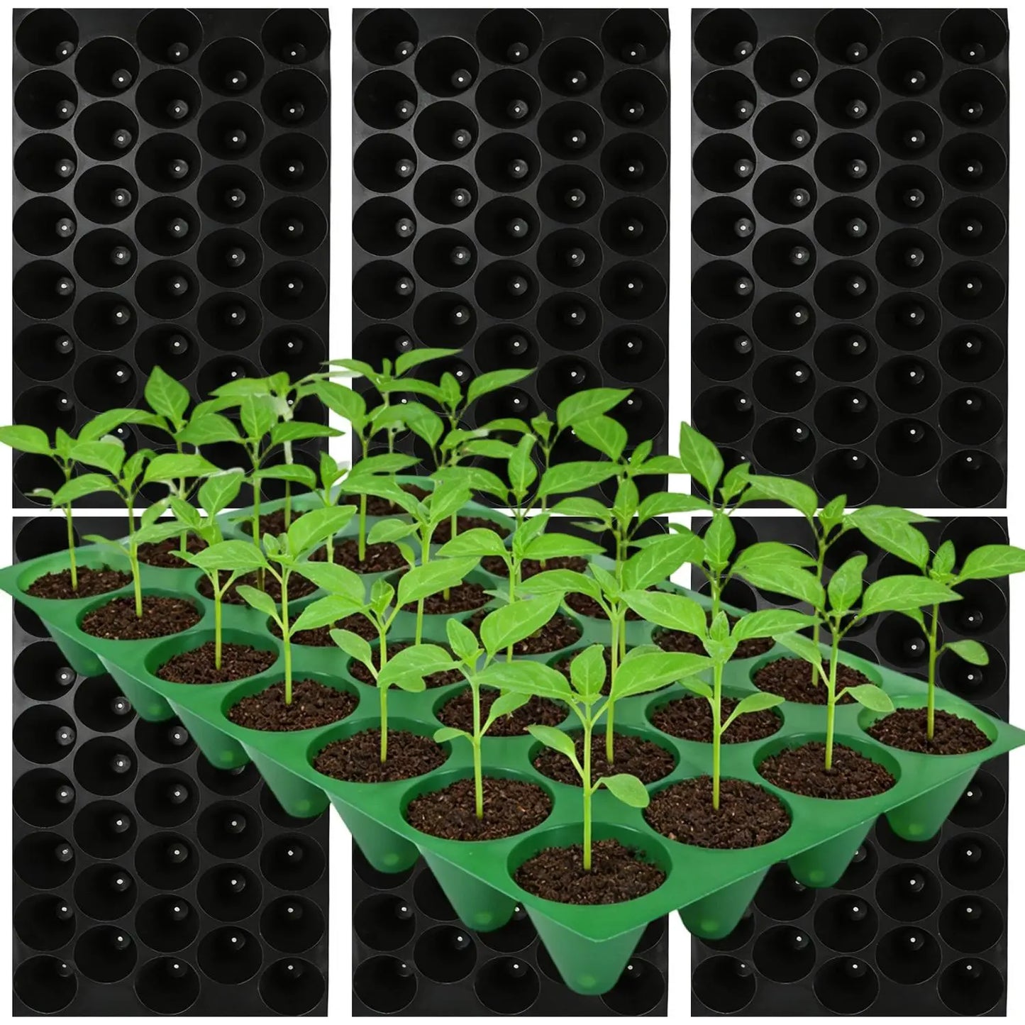32 Cells Propagation Seedling Starter Nursery Pots Germination Plant Flower Pots Tray Garden Seeds Grow Box with Drainage Holes