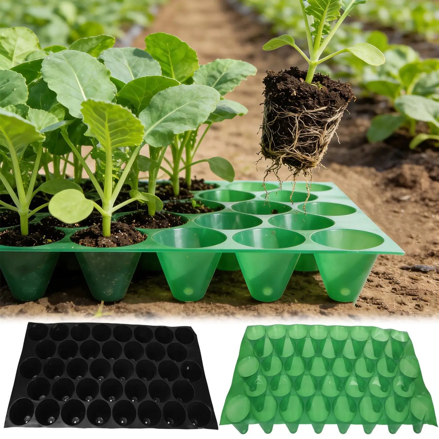 32 Cells Propagation Seedling Starter Nursery Pots Germination Plant Flower Pots Tray Garden Seeds Grow Box with Drainage Holes