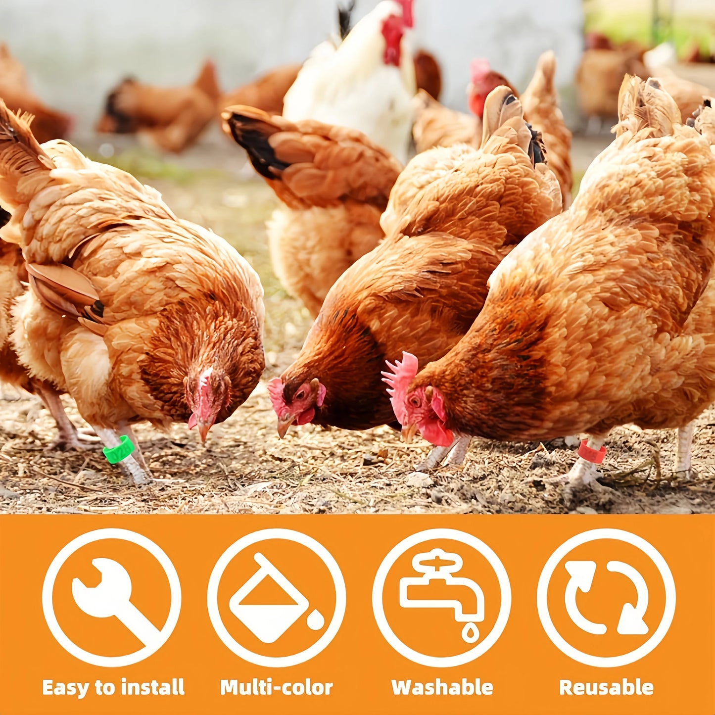 Farm Tag Rings – Numbered Poultry Leg Bands for Chickens, Ducks & Geese