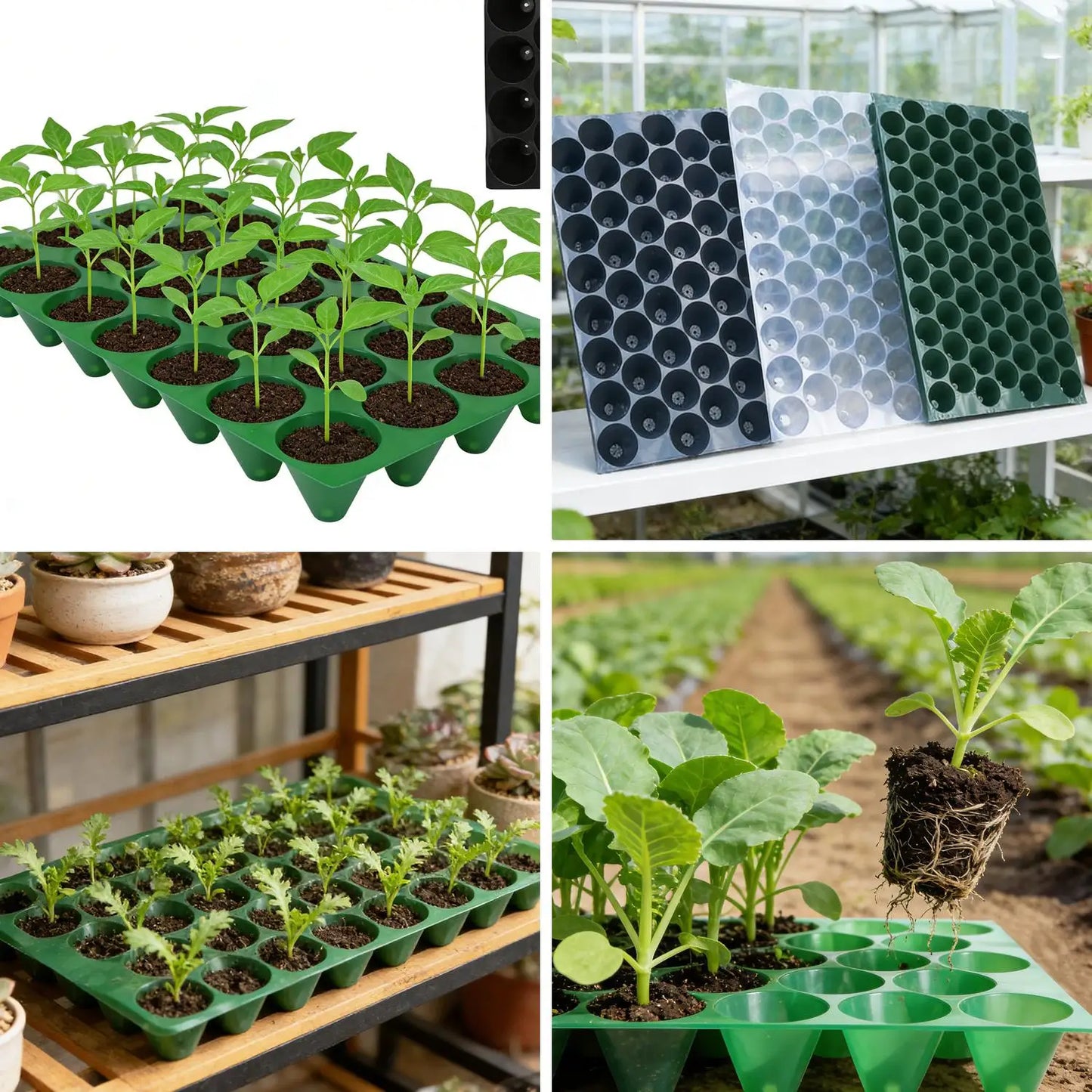 32 Cells Propagation Seedling Starter Nursery Pots Germination Plant Flower Pots Tray Garden Seeds Grow Box with Drainage Holes